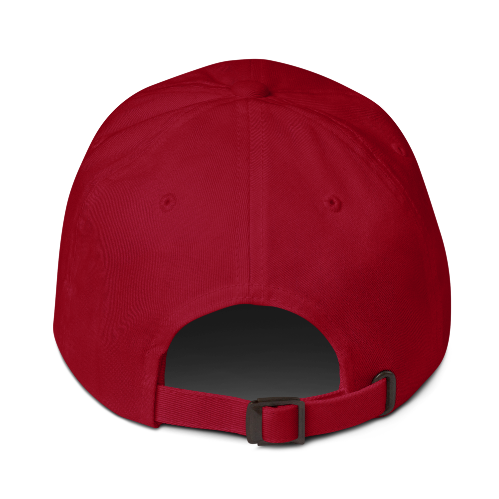 Fore & After classic dad hat in cranberry — back
