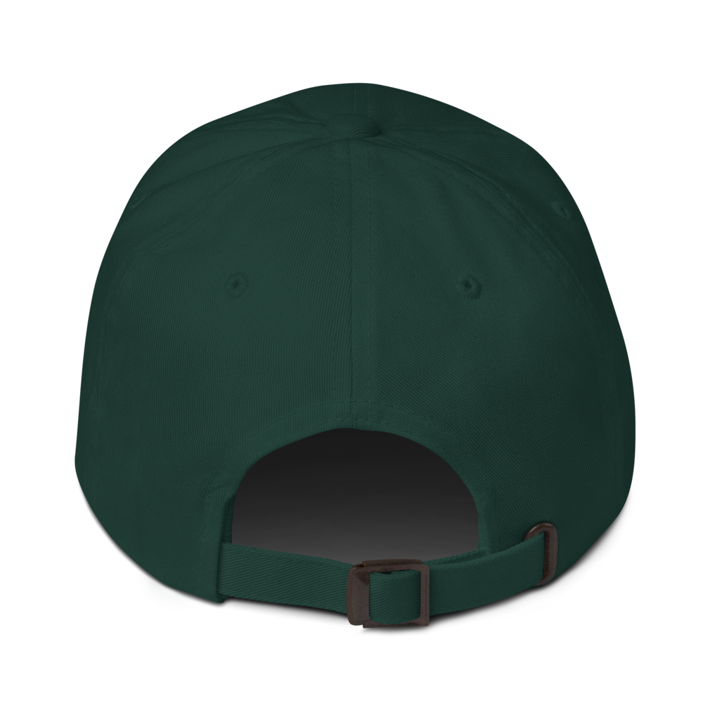 Fore & After classic dad hat in spruce — back